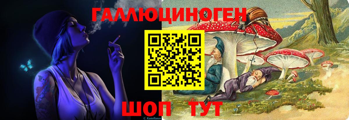 Галлюциногенные грибы Psilocybine cubensis Сарапул