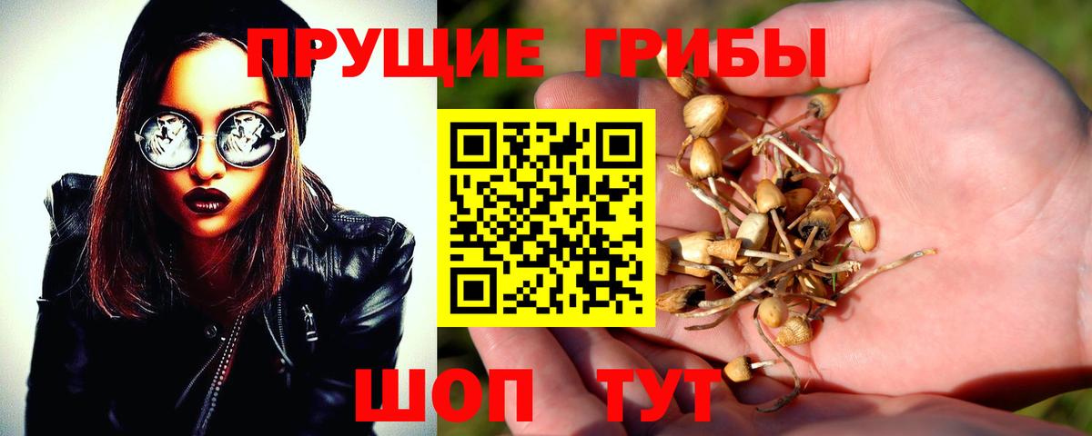 Псилоцибиновые грибы Psilocybe  Псилоцибиновые грибы MAGIC MUSHROOMS  Вход с VPN  Сарапул 